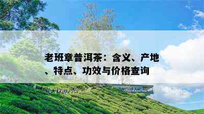 老班章普洱茶：含义、产地、特点、功效与价格查询