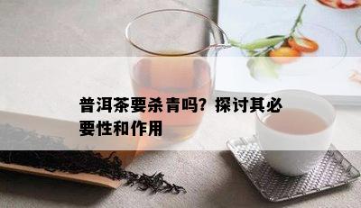 普洱茶要杀青吗？探讨其必要性和作用