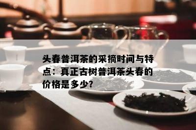 头春普洱茶的采摘时间与特点：真正古树普洱茶头春的价格是多少？