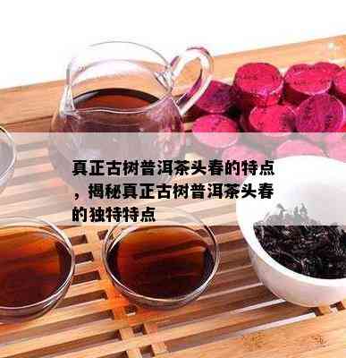 真正古树普洱茶头春的特点，揭秘真正古树普洱茶头春的独特特点