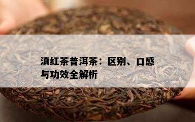 滇红茶普洱茶：区别、口感与功效全解析