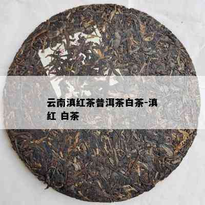 云南滇红茶普洱茶白茶-滇红 白茶