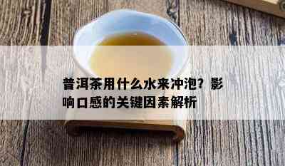 普洱茶用什么水来冲泡？影响口感的关键因素解析