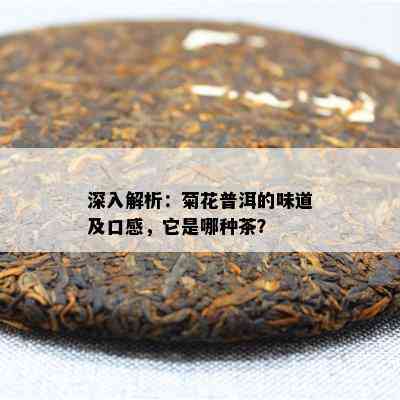 深入解析：菊花普洱的味道及口感，它是哪种茶？