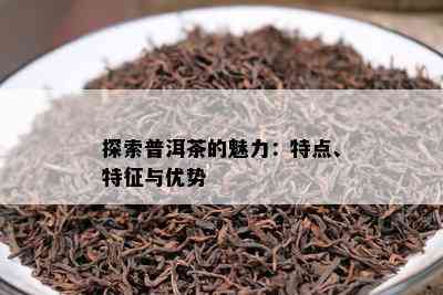 探索普洱茶的魅力：特点、特征与优势