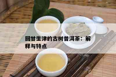 回甘生津的古树普洱茶：解释与特点