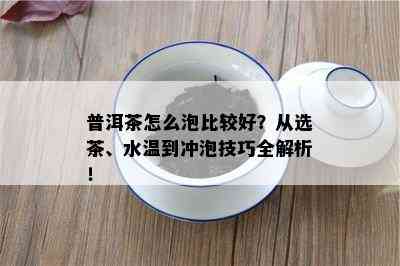 普洱茶怎么泡比较好？从选茶、水温到冲泡技巧全解析！