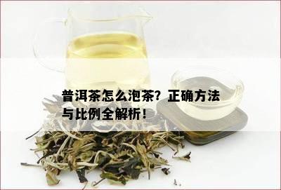 普洱茶怎么泡茶？正确方法与比例全解析！