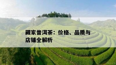 藏家普洱茶：价格、品质与店铺全解析