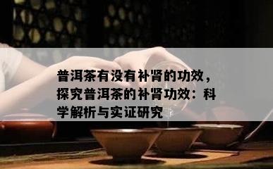 普洱茶有没有补肾的功效，探究普洱茶的补肾功效：科学解析与实证研究