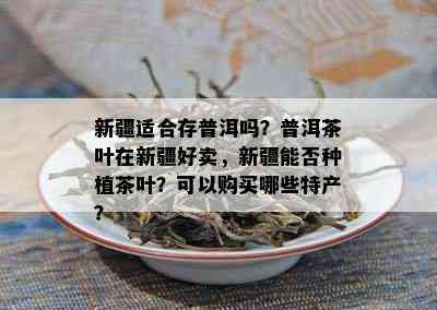 新疆适合存普洱吗？普洱茶叶在新疆好卖，新疆能否种植茶叶？可以购买哪些特产？