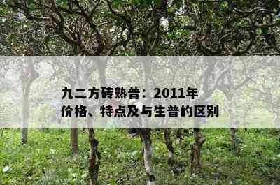 九二方砖熟普：2011年价格、特点及与生普的区别