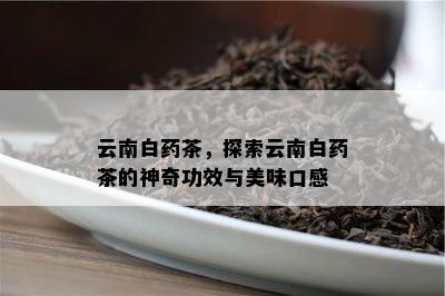 云南白茶，探索云南白茶的神奇功效与美味口感