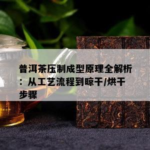 普洱茶压制成型原理全解析：从工艺流程到晾干/烘干步骤