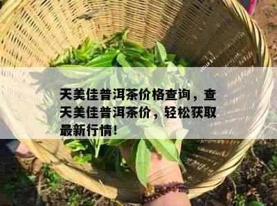 天美佳普洱茶价格查询，查天美佳普洱茶价，轻松获取最新行情！