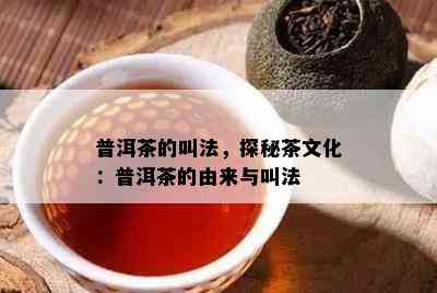 普洱茶的叫法，探秘茶文化：普洱茶的由来与叫法