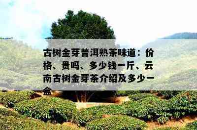 古树金芽普洱熟茶味道：价格、贵吗、多少钱一斤、云南古树金芽茶介绍及多少一盒