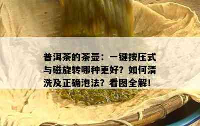 普洱茶的茶壶：一键按压式与磁旋转哪种更好？如何清洗及正确泡法？看图全解！