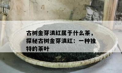 古树金芽滇红属于什么茶，探秘古树金芽滇红：一种独特的茶叶