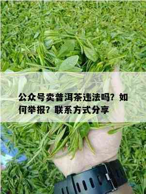 公众号卖普洱茶违法吗？如何举报？联系方式分享