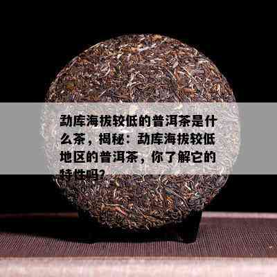 勐库海拔较低的普洱茶是什么茶，揭秘：勐库海拔较低地区的普洱茶，你了解它的特性吗？