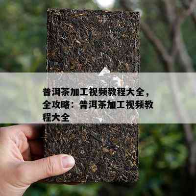 普洱茶加工视频教程大全，全攻略：普洱茶加工视频教程大全