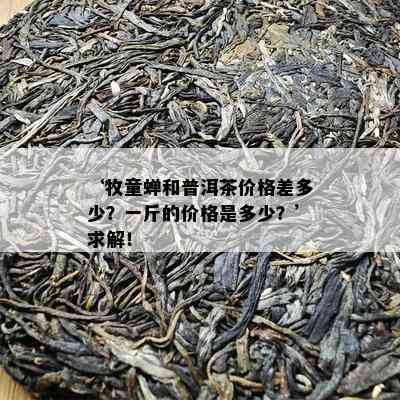 ‘牧童蝉和普洱茶价格差多少？一斤的价格是多少？’求解！