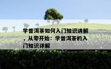 学普洱茶如何入门知识讲解，从零开始：学普洱茶的入门知识详解