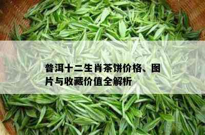 普洱十二生肖茶饼价格、图片与收藏价值全解析