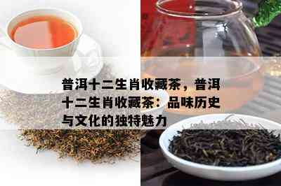 普洱十二生肖收藏茶，普洱十二生肖收藏茶：品味历史与文化的独特魅力