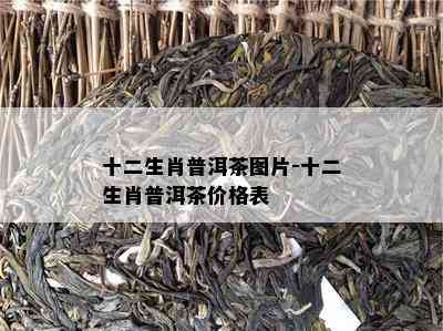 十二生肖普洱茶图片-十二生肖普洱茶价格表