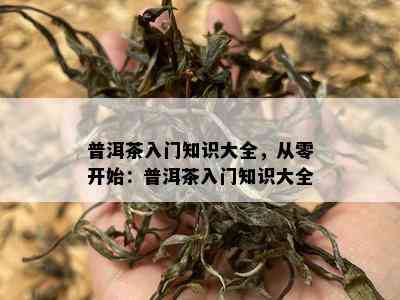 普洱茶入门知识大全，从零开始：普洱茶入门知识大全