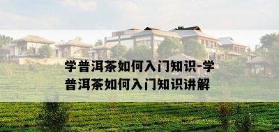 学普洱茶如何入门知识-学普洱茶如何入门知识讲解