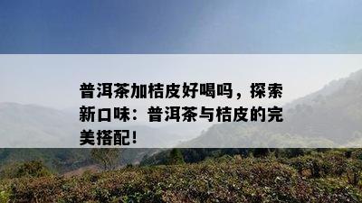 普洱茶加桔皮好喝吗，探索新口味：普洱茶与桔皮的完美搭配！