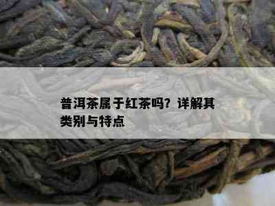 普洱茶属于红茶吗？详解其类别与特点