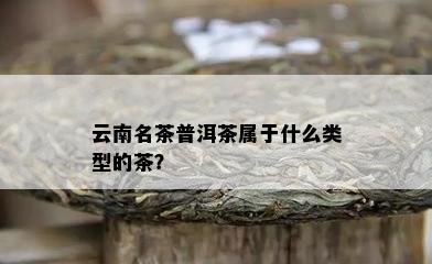 云南名茶普洱茶属于什么类型的茶？