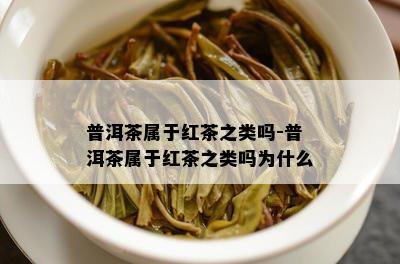 普洱茶属于红茶之类吗-普洱茶属于红茶之类吗为什么