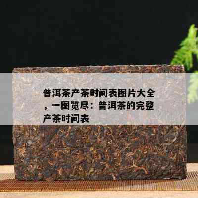 普洱茶产茶时间表图片大全，一图览尽：普洱茶的完整产茶时间表