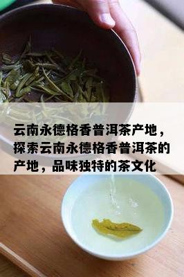 云南永德格香普洱茶产地，探索云南永德格香普洱茶的产地，品味独特的茶文化