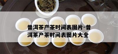 普洱茶产茶时间表图片-普洱茶产茶时间表图片大全