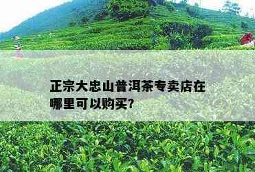 正宗大忠山普洱茶专卖店在哪里可以购买？