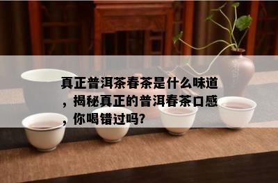 真正普洱茶春茶是什么味道，揭秘真正的普洱春茶口感，你喝错过吗？