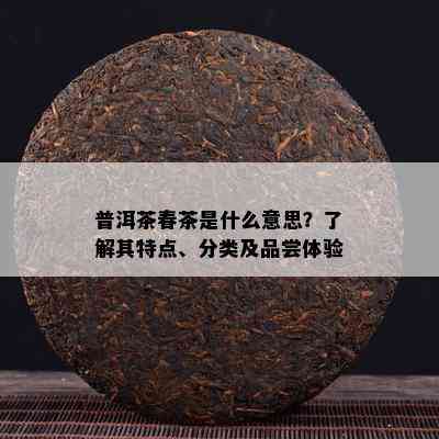 普洱茶春茶是什么意思？了解其特点、分类及品尝体验