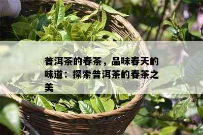 普洱茶的春茶，品味春天的味道：探索普洱茶的春茶之美