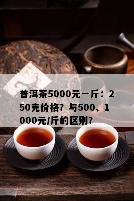 普洱茶5000元一斤：250克价格？与500、1000元/斤的区别？