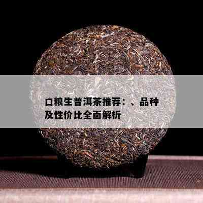 口粮生普洱茶推荐：、品种及性价比全面解析