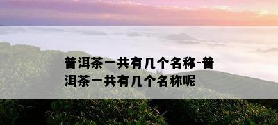 普洱茶一共有几个名称-普洱茶一共有几个名称呢