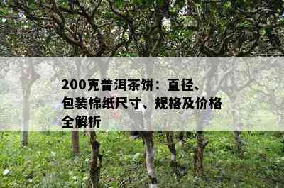 200克普洱茶饼：直径、包装棉纸尺寸、规格及价格全解析