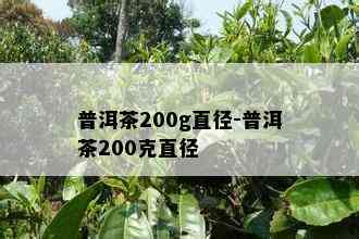 普洱茶200g直径-普洱茶200克直径