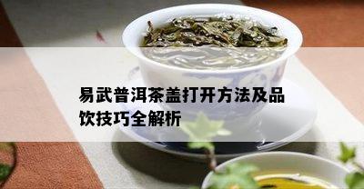 易武普洱茶盖打开方法及品饮技巧全解析